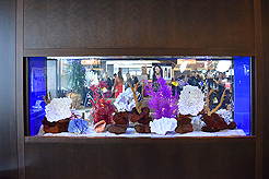 POWER AND BEAUTY CHARITY EVENT